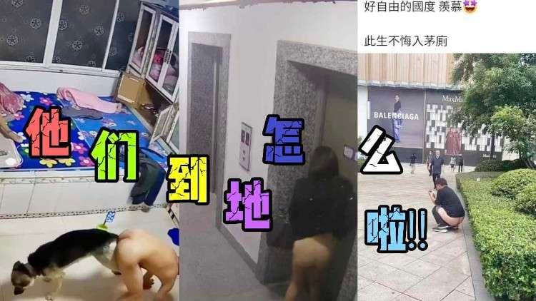 【吃瓜泄密】老婆在旁边睡偷偷和狗哥玩游戏