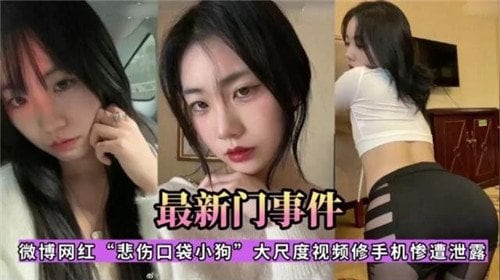 最新门事.件微博网红悲伤口袋小狗大尺度视频修手机惨遭泄露