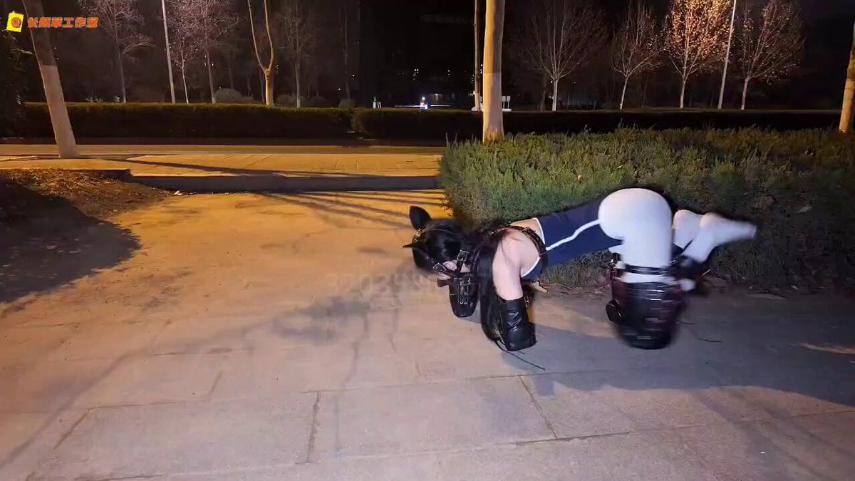 户外调教白丝袜比基尼美女小母狗，戴上狗头，分开四肢犬缚，拴上狗链，跪爬