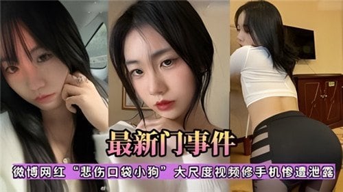网传微博.网红悲伤口袋小狗大尺度视频修手机惨遭泄露