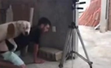 在一部火辣的色情电影中男人被一只脏狗干了