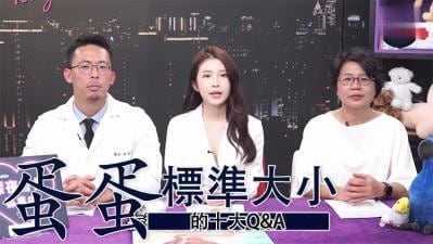 蛋蛋十大QA标准大小.